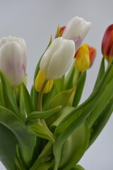 Festive bouquet of flowers, spring, bright flowers arranged in a glass glass. Composition of red, white, yellow tulips against the background of long, green leaves.