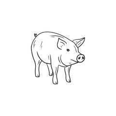Realistic pig standing in black isolated on white background. Hand drawn vector sketch doodle illustration in engraved vintage line art style. Concept of domestic farm animals, pork, meat, food.