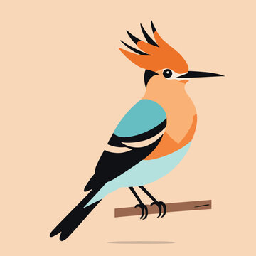 recommend clip art: Cute hoopoe bird cartoon illustration