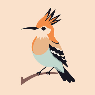 recommend clip art: Cute hoopoe bird cartoon illustration