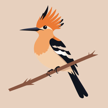 recommend clip art: Cute hoopoe bird cartoon illustration