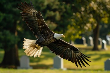 An eagle soars through the sky above a cemetery, with tall trees providing a picturesque backdrop, An American eagle soaring over the headstones of a national military cemetery, AI Generated