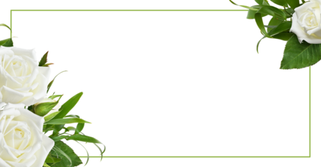 Floral corner arrangement with rose flowers and italian ruscus and green frame isolated on white or transparent background