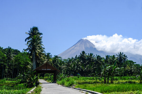 merapi mountain in the morning landscape angle