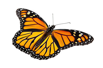 Naklejka premium beautiful monarch butterfly, isolated on transparent background