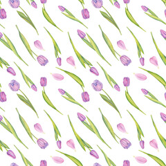 Watercolor Pink Tulips with Green Leaves Seamless Pattern. Isolated Flowers on White Background. For Cards, Textile, International Women's Day, 8th March, Mother's Day, Spring and Summer Theme.