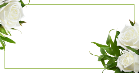 Floral corner arrangement with rose flowers and italian ruscus and green frame isolated on white or transparent background