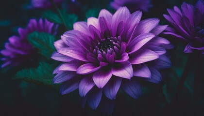  A close-up view of a vibrant purple flower standing out against a lush purple background