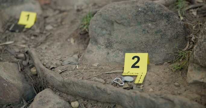 Closeup, evidence marker and forensic for investigation at crime scene with keys on ground or accident location in forest. Yellow numbers, homicide or case research with observation outdoor in woods