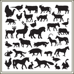 Obraz premium Wild animal Silhouette set, Animal silhouette