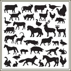 Obraz premium Wild animal Silhouette set, Animal silhouette