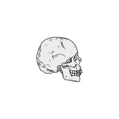 Skull icon hand drawn isolated on white background