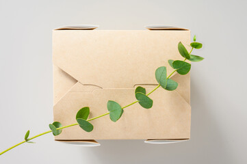 Green plant branch on a paper disposable paper container. Zero waste concept.