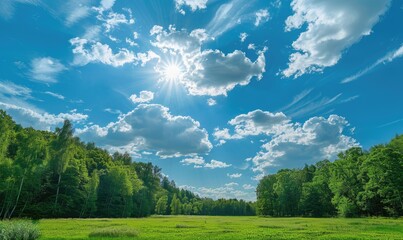 Blue skies over a green forest, spring nature background