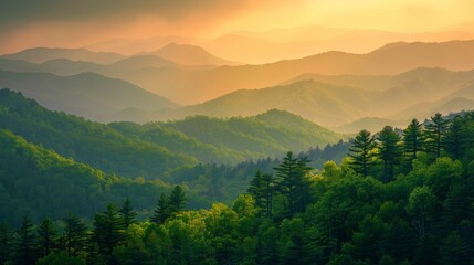 Mountain Range With Trees