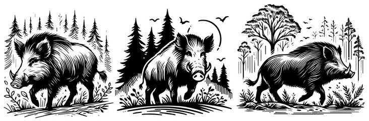 wild boars in the forest natural habitat scene vector illustration silhouette laser cutting black and white shape