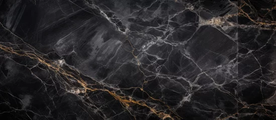 Fototapeten Black marble with elegant gold veining © Ilgun