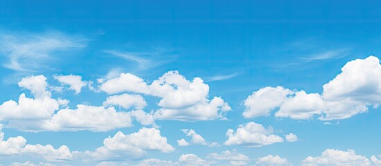 Cows grazing in a vast field under a clear blue sky
