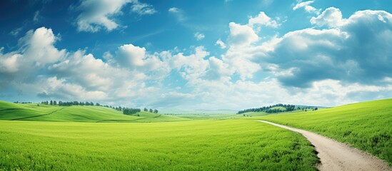 Fototapeta premium Dirt road winding through lush grass under clear blue sky