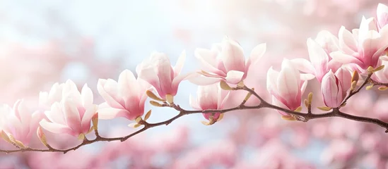 Gardinen A close-up of a pink blossoming tree branch © Ilgun