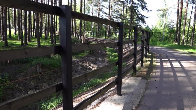 Fence and stockade of logs in a city zoo.