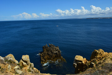 mountain, sea, cat and more.