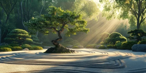 Selbstklebende Fototapeten A beautiful sunrise illuminates a Japanese Zen garden, highlighting the elegant forms of meticulously maintained bonsai trees. Resplendent. © Summit Art Creations