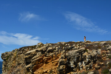 mountain, sea, cat and more.