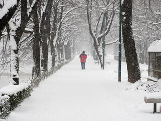 Heavy snowfall in the city. People walking in the streets. Trees and branches covered in white....