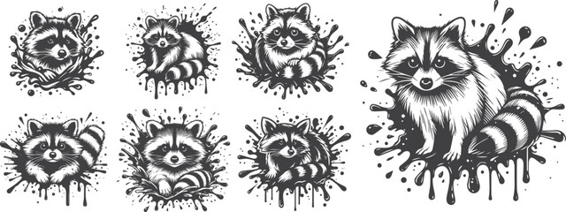 raccoon splash in black and white vector graphics
