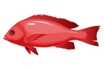 Red snapper isolated vector illustration. Fishing logo of red snapper.