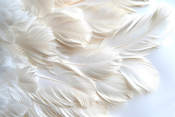 Background with white soft feather texture, suitable for sleep and health concept.