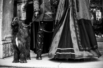 An Afghan hound stands dignified beside an owner in traditional attire, both exuding timeless...