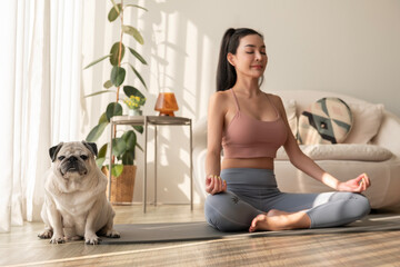Asian woman in sportswear exercising and doing yoga with cute dog in living room at home, healthy...