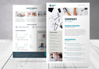 Business Company Fact Sheet Template  - obrazy, fototapety, plakaty