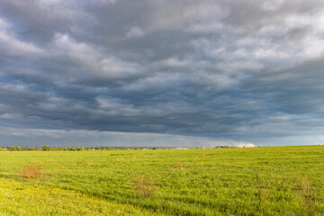 Obraz premium Sunny landscape against a dramatic sky, countryside in early spring, young green grass in a field