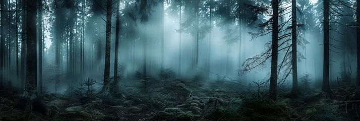 Fototapeten Black forest with thick fog. Trees in the clouds. Mystical dark nature background. © Helen