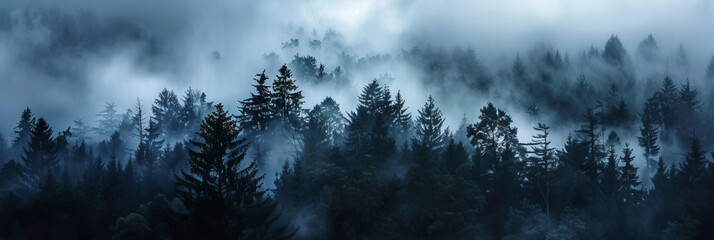 Black forest with thick fog. Treetops in the clouds. Mystical dark nature background. - obrazy, fototapety, plakaty