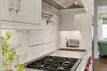 Dream Chef Kitchen with Farmhouse Décor, Large Stove Top, Pot Filler and Stainless Steel Appliances