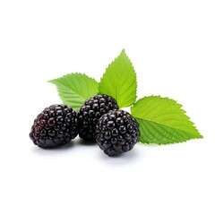 Three organic Mulberry fruits with green leaves isolated on white background