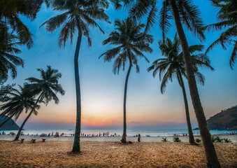 Amazing sunrise - dawn  (blue hour - twilight)  with silhouettes of palm trees and sand beach