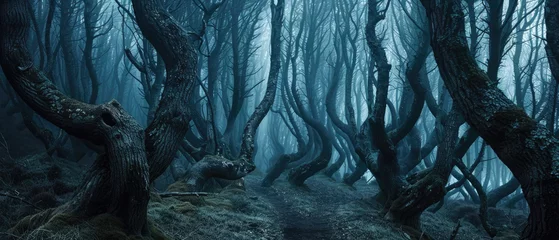Fotobehang Dark scary creepy woods in mist, spooky fairy tale forest at night, landscape with dry trees and mystic light. Concept of fantasy, horror, haunted enchanted nature, mystery © karina_lo