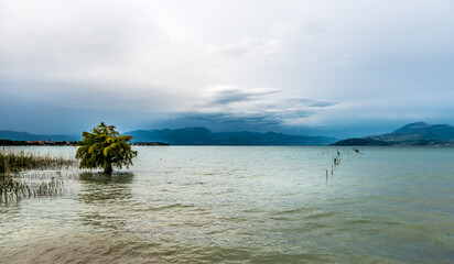 Sirmione,lugana,lago di garda,lombardia, italy