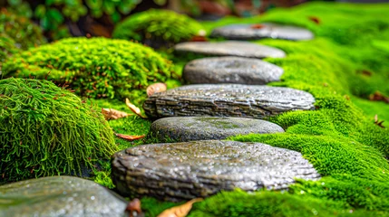 Foto auf Glas Tranquil stone path in green zen garden, peaceful nature and gardening design © Jannat