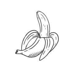  hand drawn illustration of banana. For printing, product design, market, logo. Line, contour. Vector
