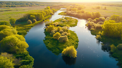 The river flows through the green valley, an island in the middle of the river, top view