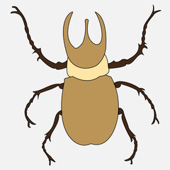 Vector of male and female bed bug. Bed bug invasion