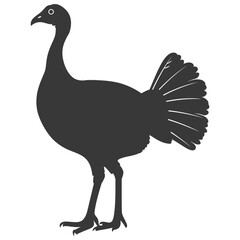 Silhouette Turkey Animal black color only full body