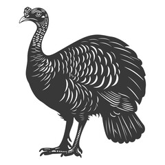 Fototapeta na wymiar Silhouette Turkey Animal black color only full body