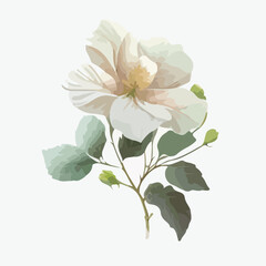 Elegant Flower Clipart isolated on white background